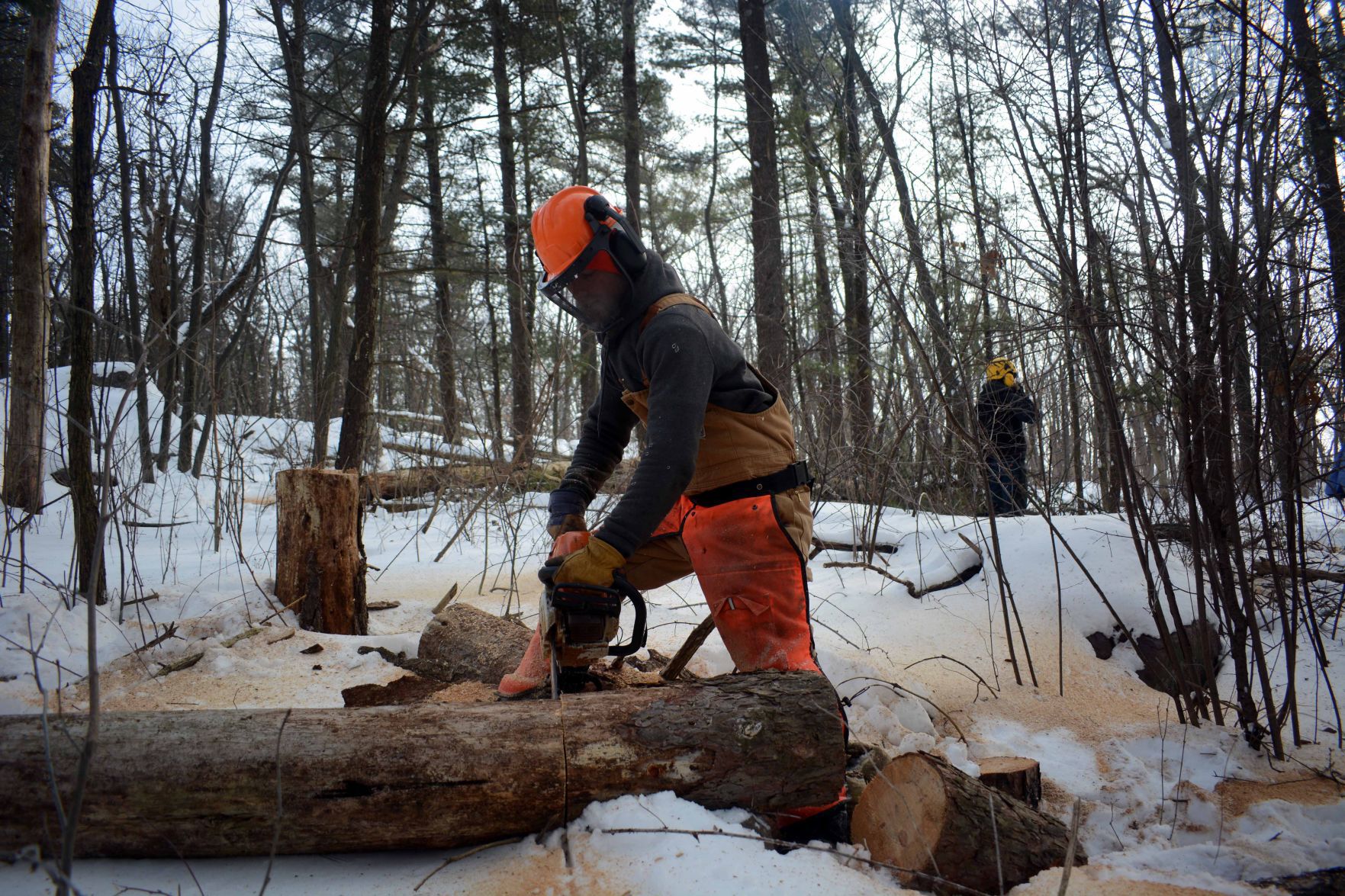 Devil's Lake east bluff stewardship work